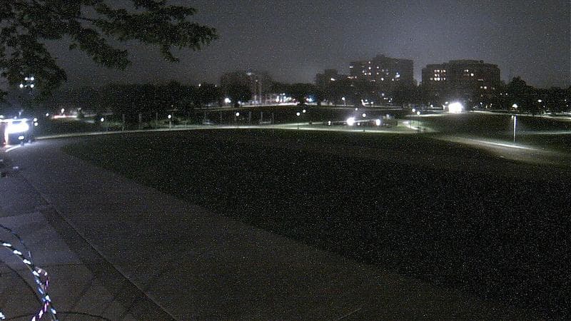 Emera Oval