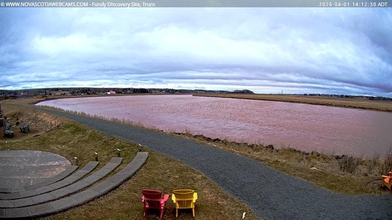 Fundy Discovery Site