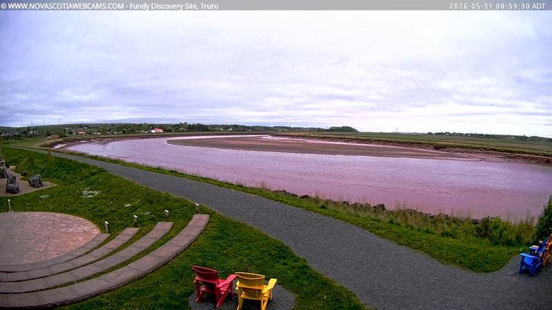 Fundy Discovery Site