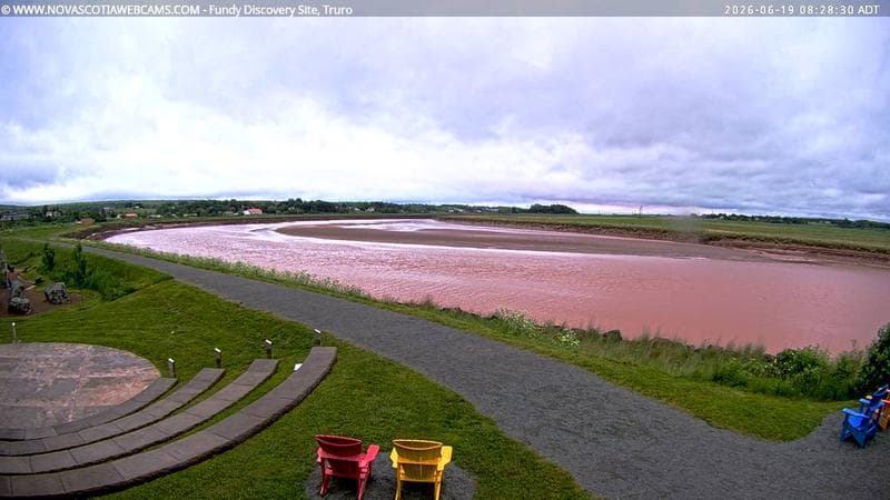 Fundy Discovery Site