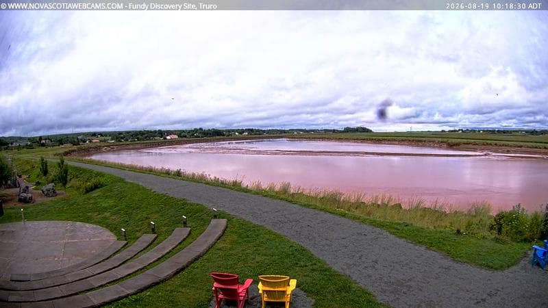 Fundy Discovery Site
