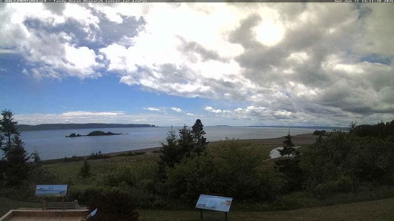 Fundy FORCE