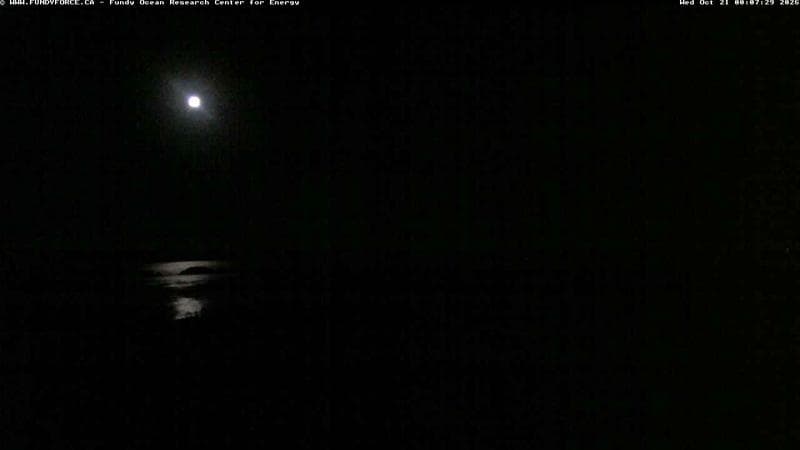 Fundy FORCE