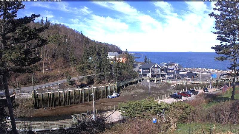 Hall's Harbour