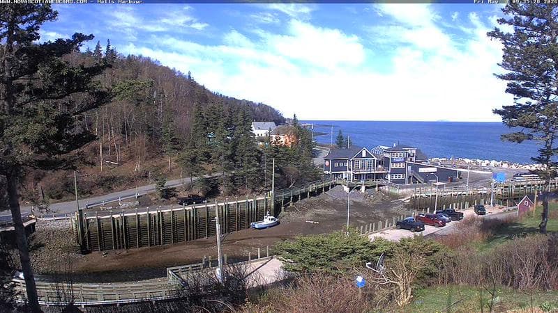 Hall's Harbour