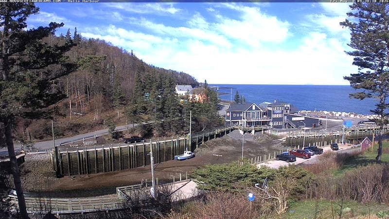 Hall's Harbour