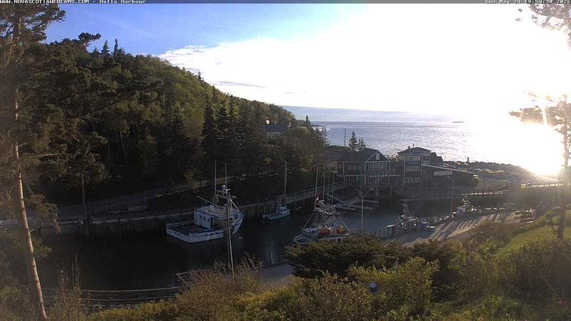 Hall's Harbour