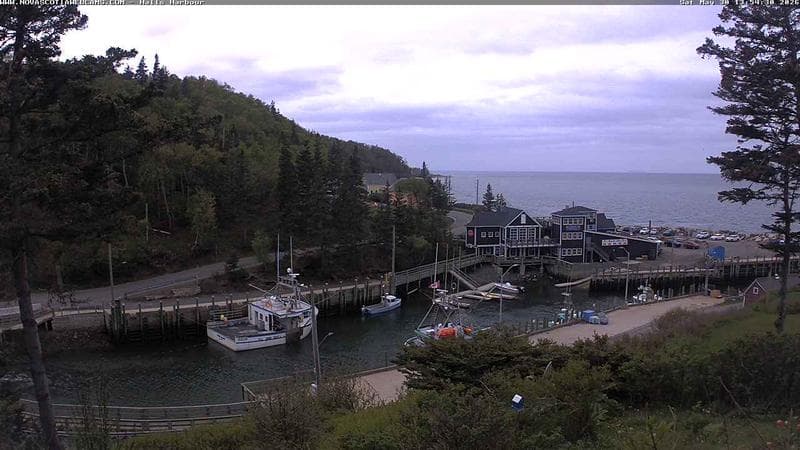 Hall's Harbour
