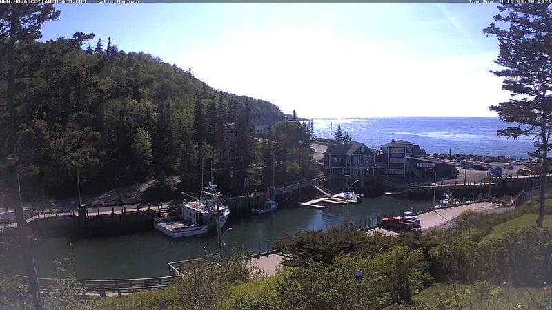 Hall's Harbour