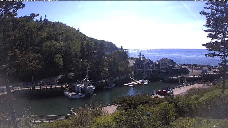 Hall's Harbour