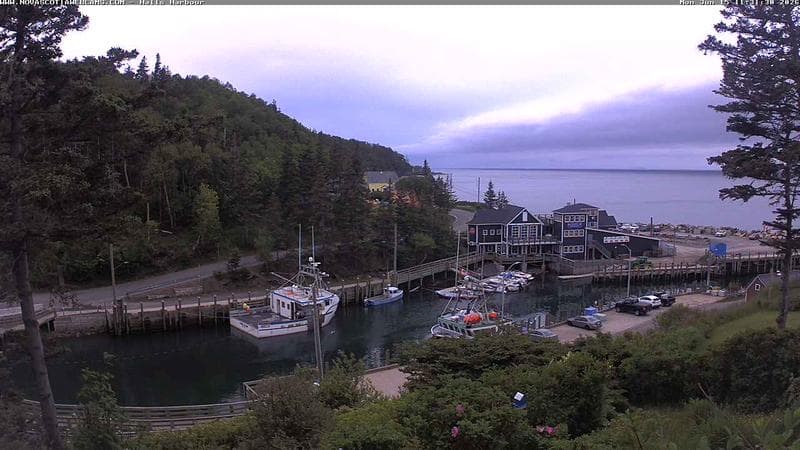 Hall's Harbour
