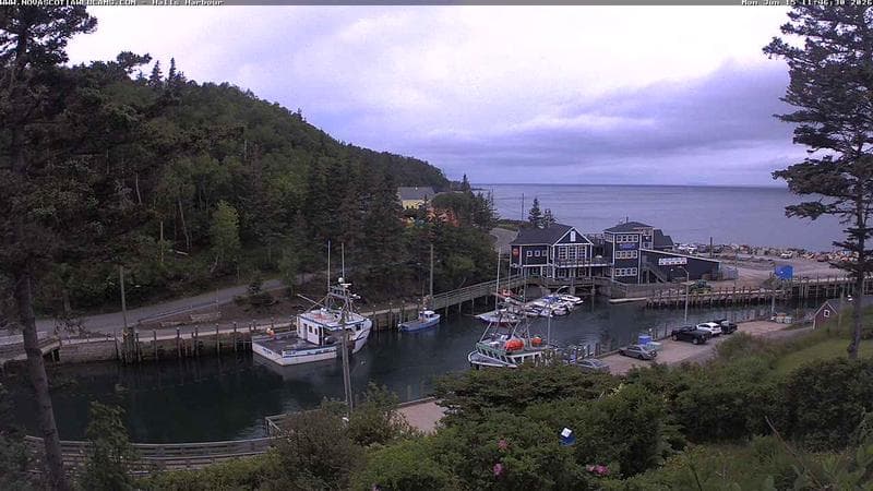 Hall's Harbour