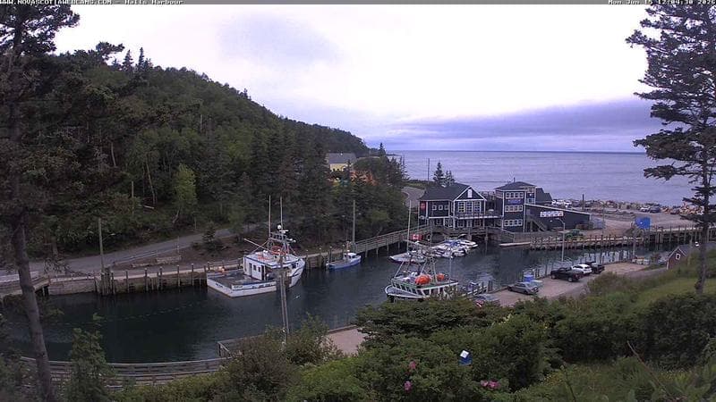 Hall's Harbour