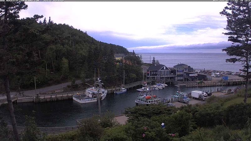 Hall's Harbour
