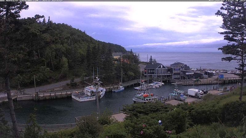 Hall's Harbour