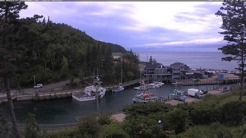 Hall's Harbour