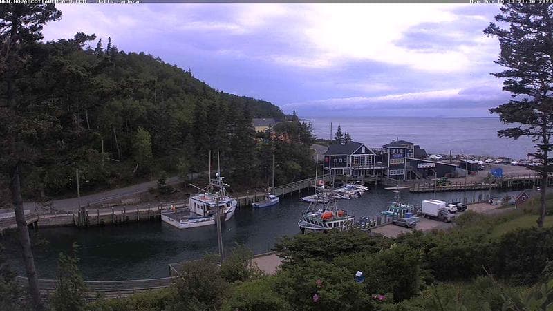 Hall's Harbour