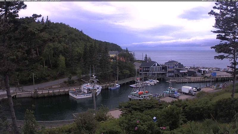 Hall's Harbour