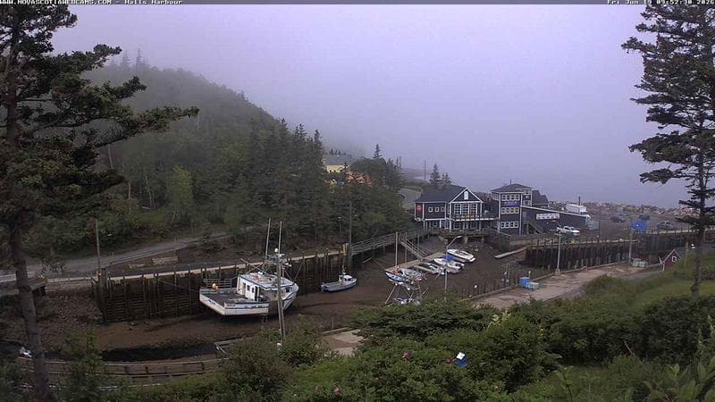 Hall's Harbour