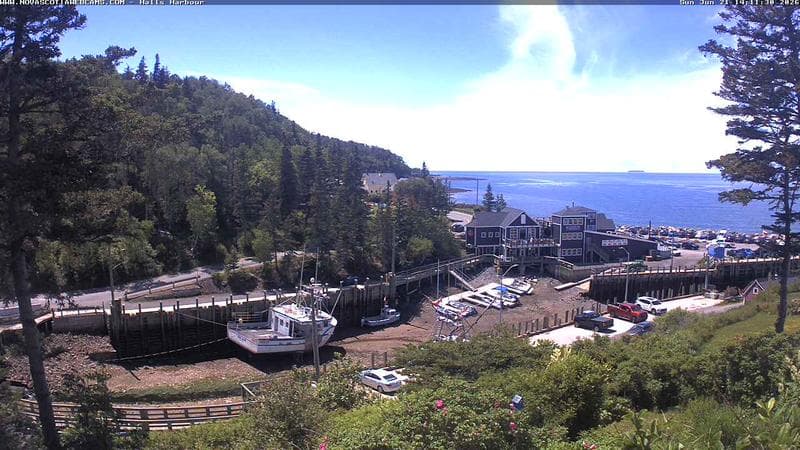 Hall's Harbour