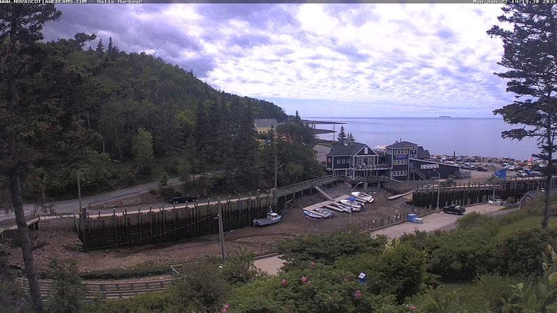 Hall's Harbour