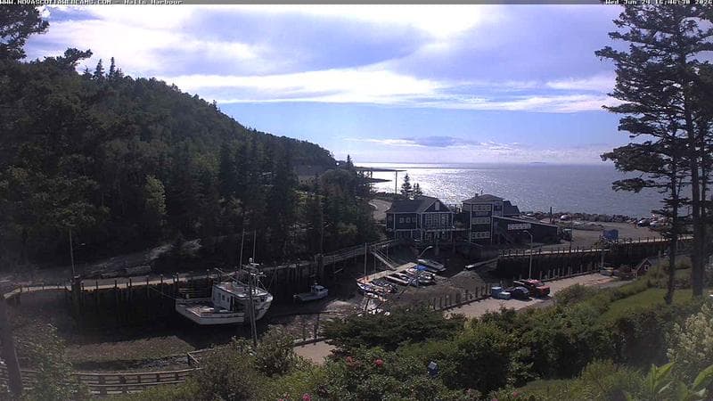 Hall's Harbour