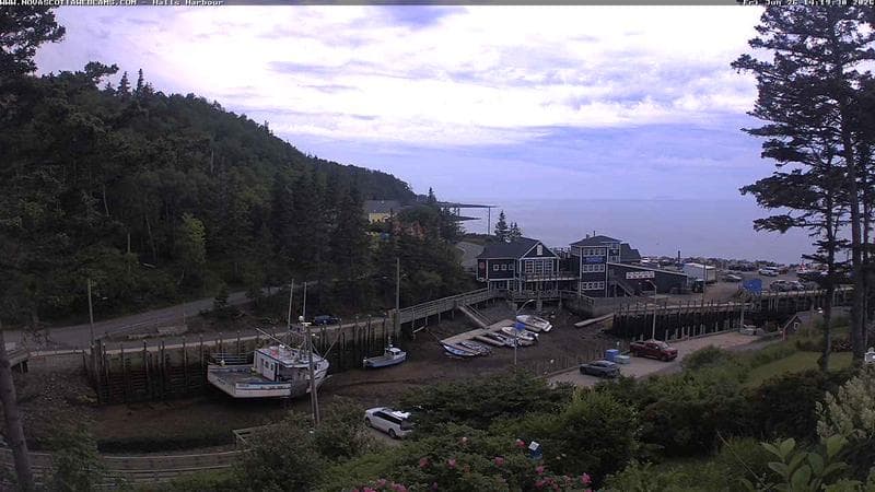 Hall's Harbour