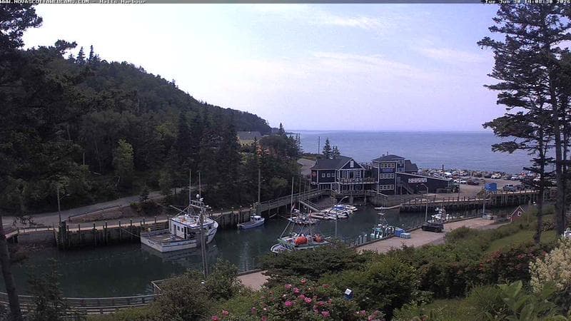 Hall's Harbour