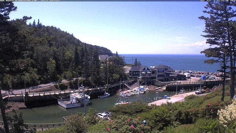 Hall's Harbour
