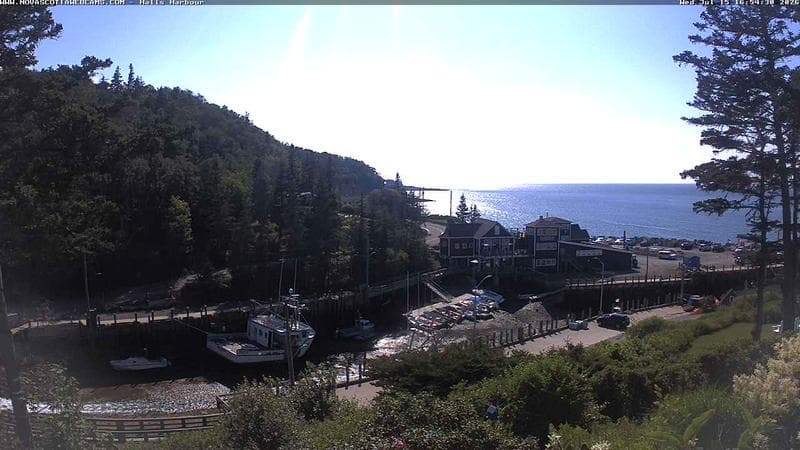 Hall's Harbour