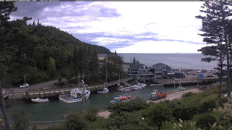 Hall's Harbour