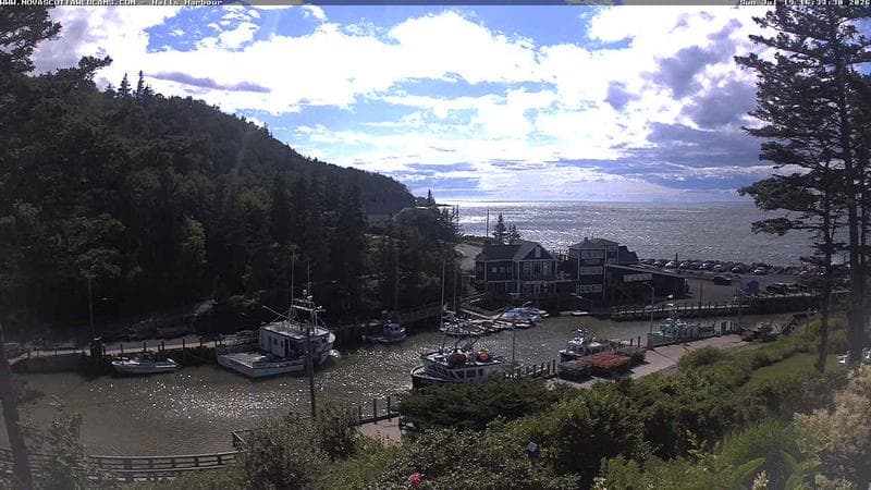 Hall's Harbour