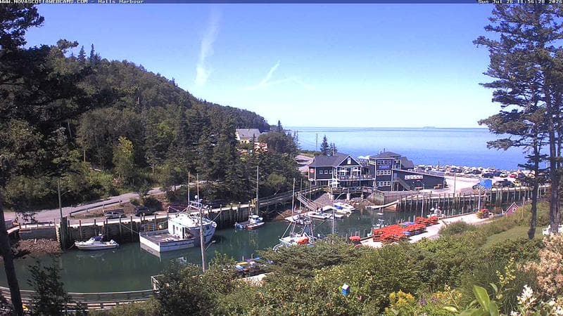 Hall's Harbour