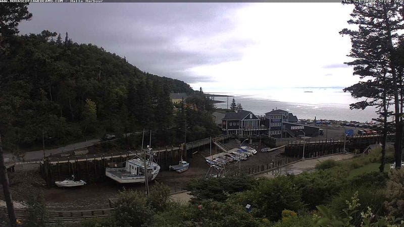Hall's Harbour