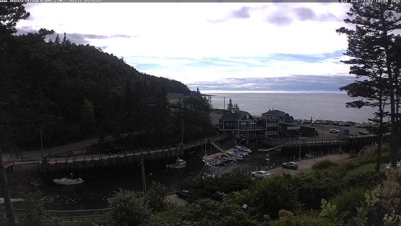 Hall's Harbour