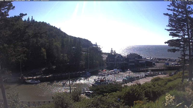 Hall's Harbour