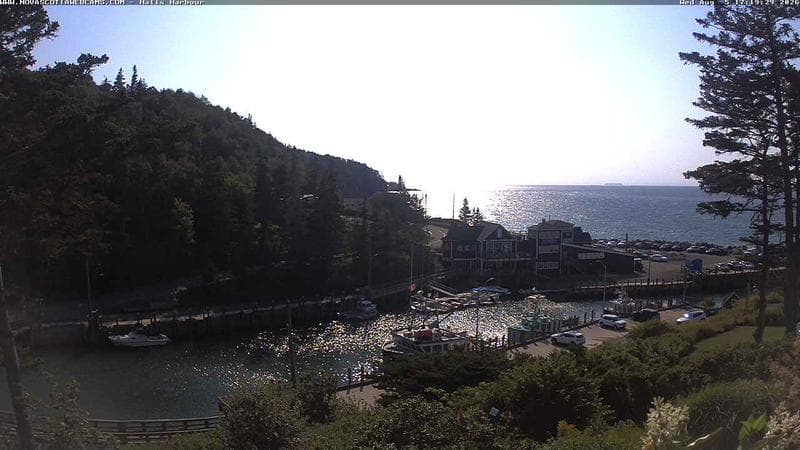 Hall's Harbour