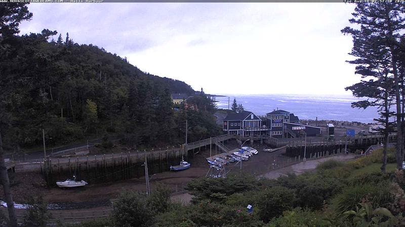 Hall's Harbour