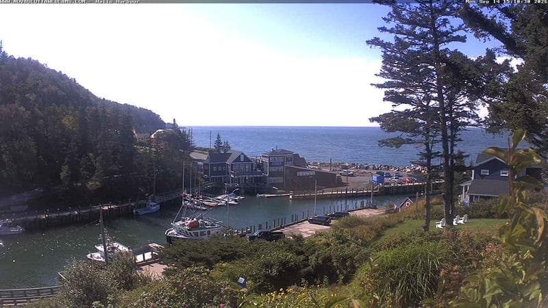 Hall's Harbour