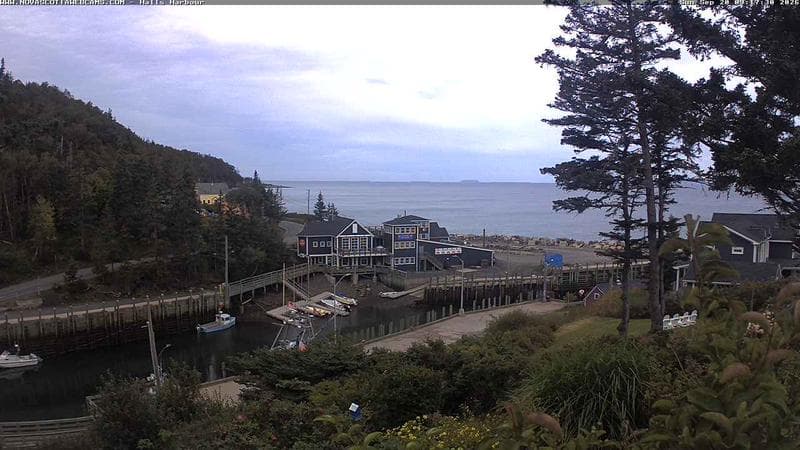 Hall's Harbour