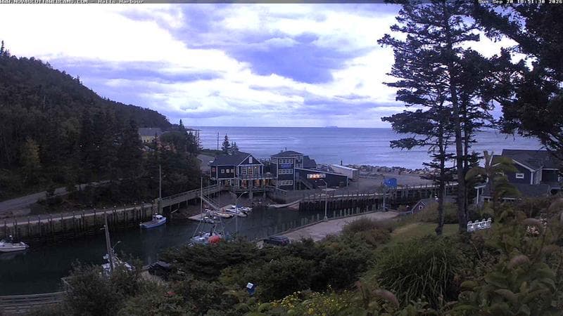 Hall's Harbour