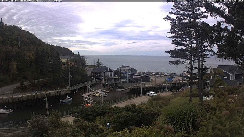 Hall's Harbour