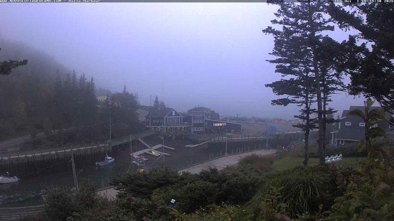 Hall's Harbour