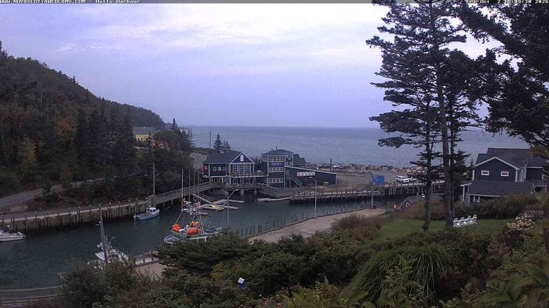 Hall's Harbour