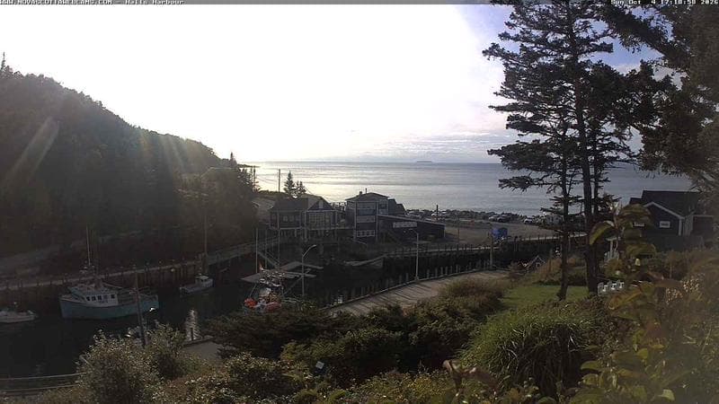 Hall's Harbour