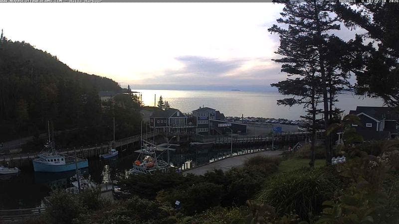 Hall's Harbour