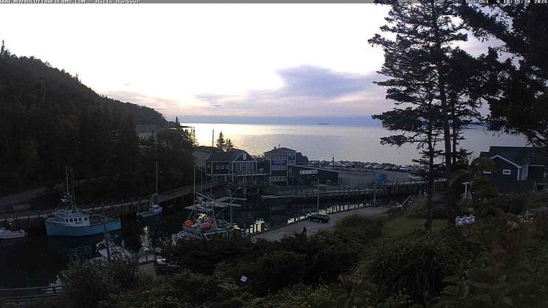 Hall's Harbour