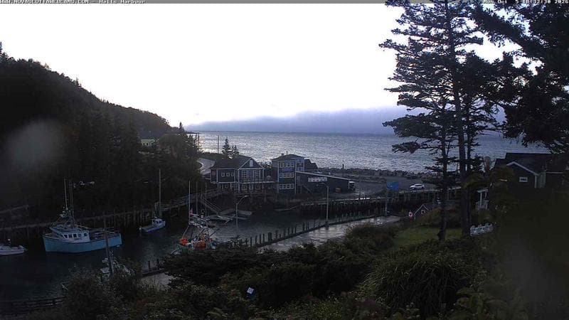 Hall's Harbour