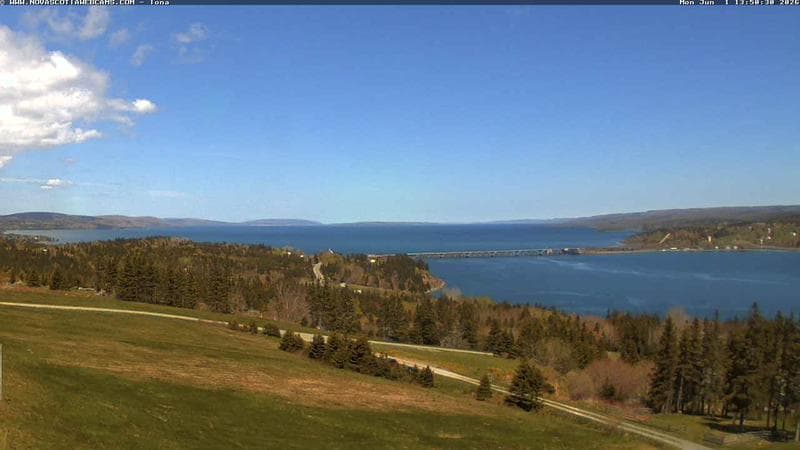 Iona