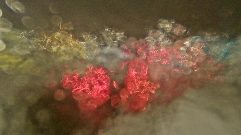 Macdonald Bridge - Halifax bound